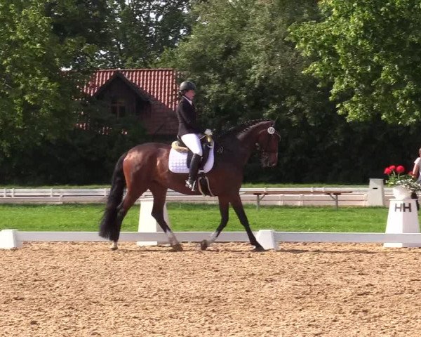Reitturnier Hille 2019