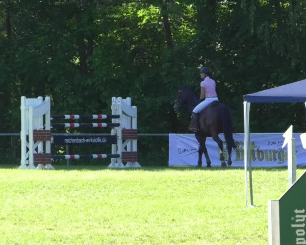Reitturnier Leingarten 2019