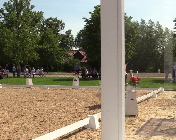 Reitturnier Hille 2019