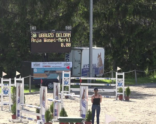 Reitturnier Fehraltorf 2019