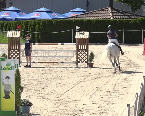 Reitturnier Fehraltorf 2019