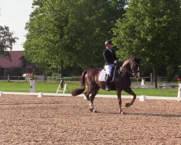 Reitturnier Hille 2019