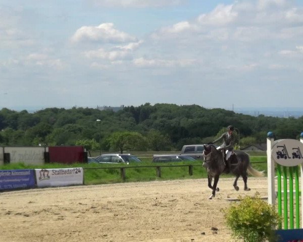 Reitturnier Burscheid-Paffenlöh 2019