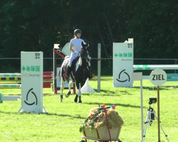 Reitturnier Leingarten 2019