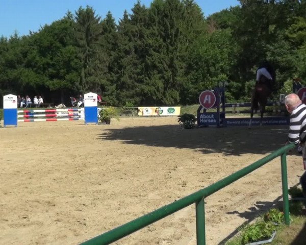 Reitturnier Burscheid-Paffenlöh 2019