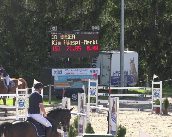 Reitturnier Fehraltorf 2019