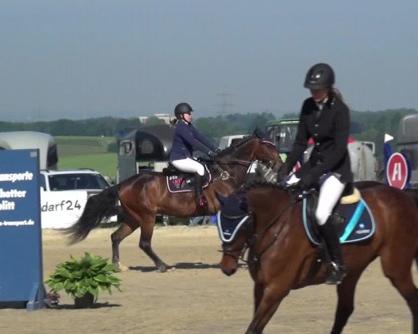 Reitturnier Burscheid-Paffenlöh 2019