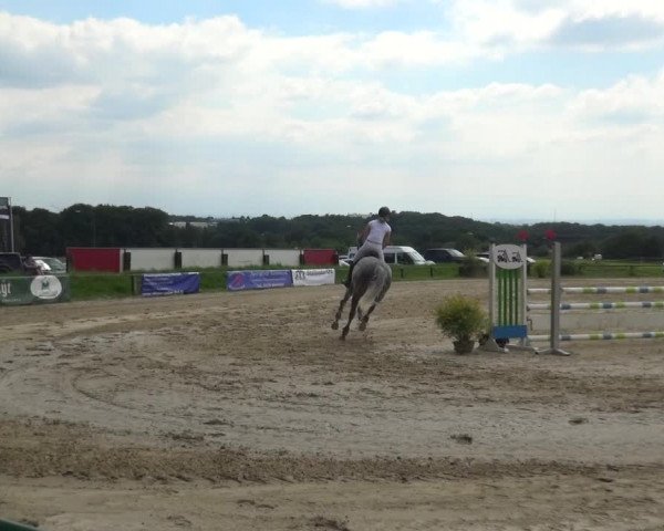 Reitturnier Burscheid-Paffenlöh 2019