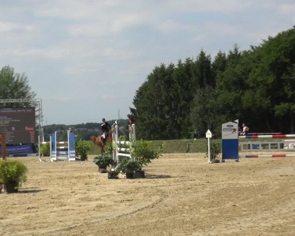 Reitturnier Burscheid-Paffenlöh 2019