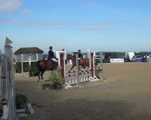 Reitturnier Burscheid-Paffenlöh 2019