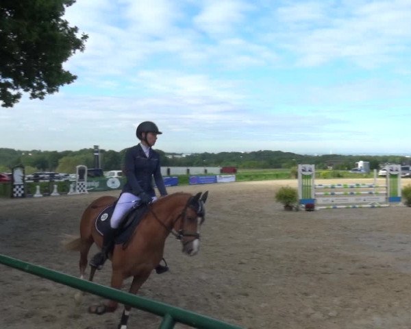 Reitturnier Burscheid-Paffenlöh 2019
