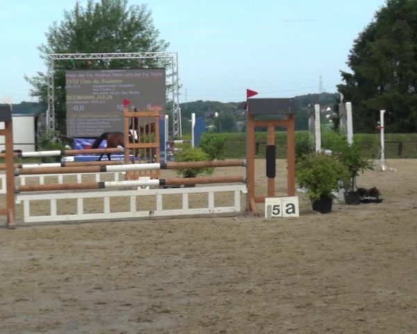 Reitturnier Burscheid-Paffenlöh 2019
