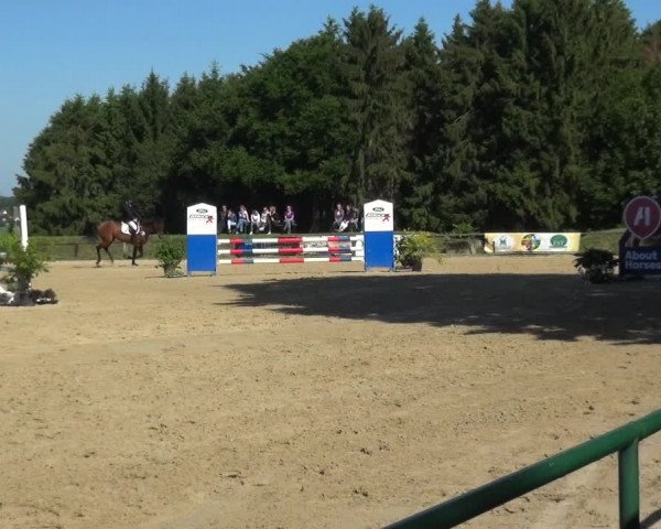 Reitturnier Burscheid-Paffenlöh 2019