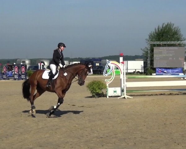 Reitturnier Burscheid-Paffenlöh 2019