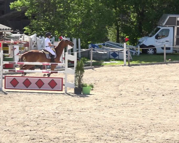 Reitturnier Fehraltorf 2019