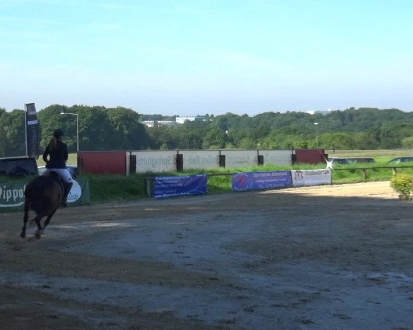 Reitturnier Burscheid-Paffenlöh 2019