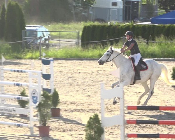 Reitturnier Fehraltorf 2019