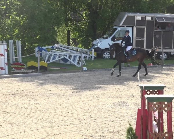 Reitturnier Fehraltorf 2019