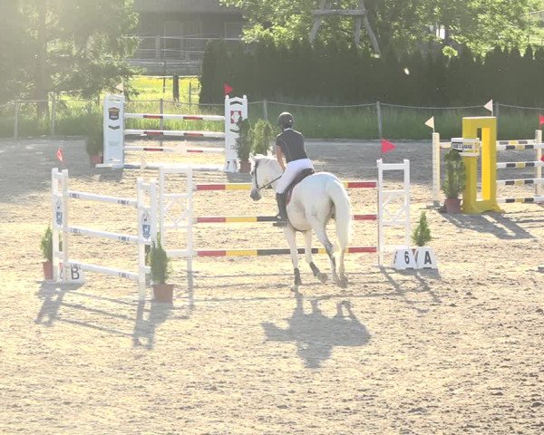 Reitturnier Fehraltorf 2019