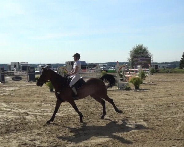 Reitturnier Burscheid-Paffenlöh 2019