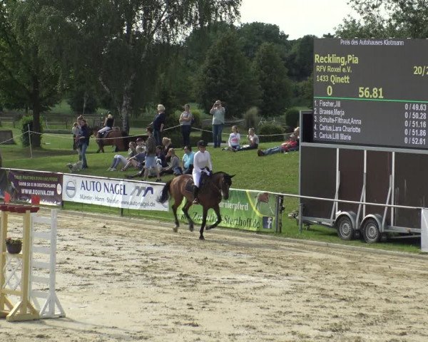 Reitturnier Hamm-Rhynern 2019
