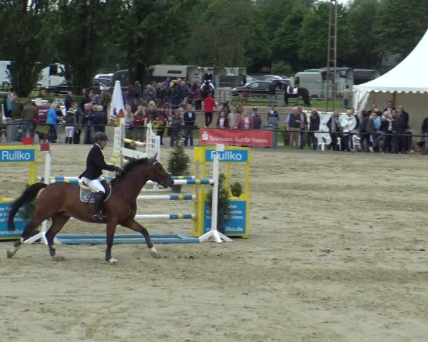 Reitturnier Hamm-Rhynern 2019