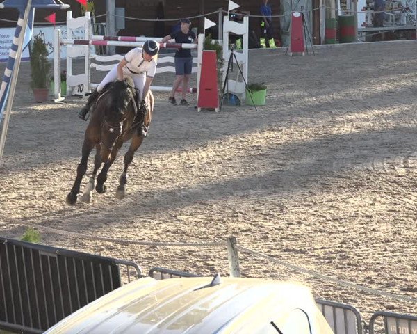 Reitturnier Fehraltorf 2019