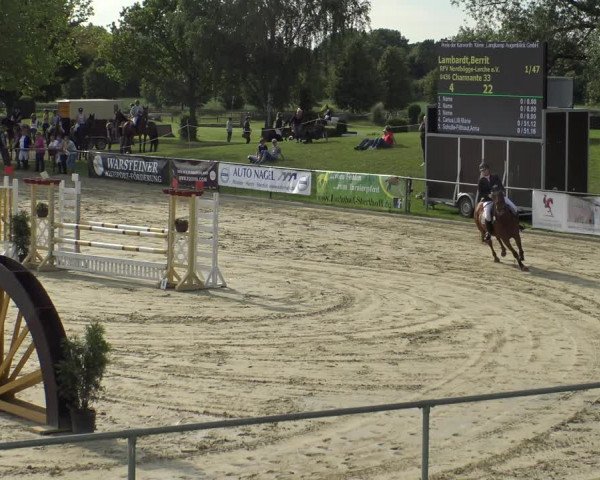 Reitturnier Hamm-Rhynern 2019