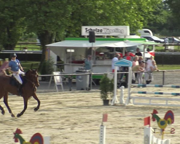 Reitturnier Hamm-Rhynern 2019