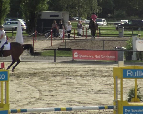 Reitturnier Hamm-Rhynern 2019