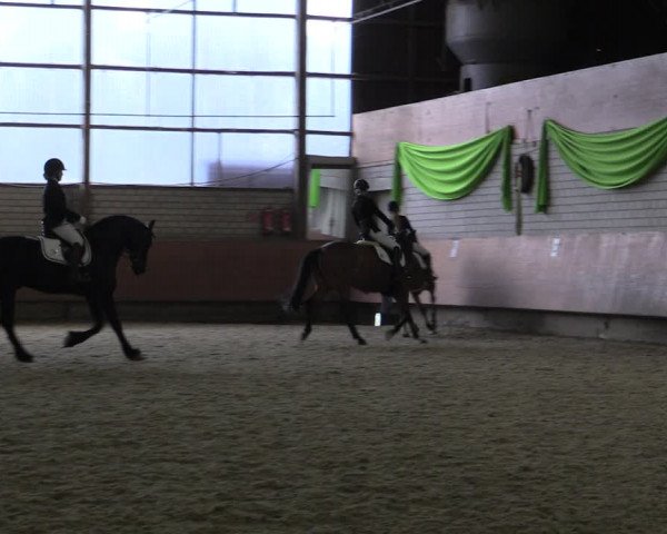 Reitturnier Hellefeld 2019