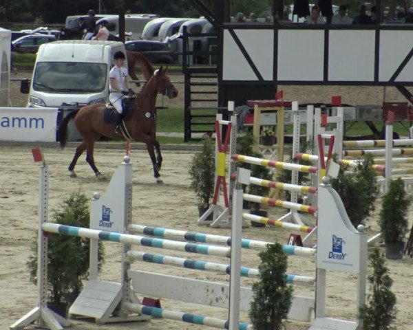 Reitturnier Hamm-Rhynern 2019