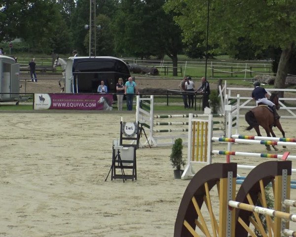 Reitturnier Hamm-Rhynern 2019