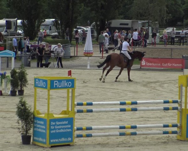 Reitturnier Hamm-Rhynern 2019