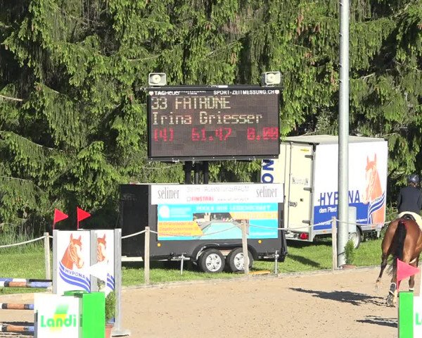 Reitturnier Fehraltorf 2019