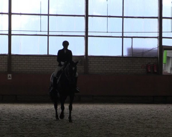 Reitturnier Hellefeld 2019