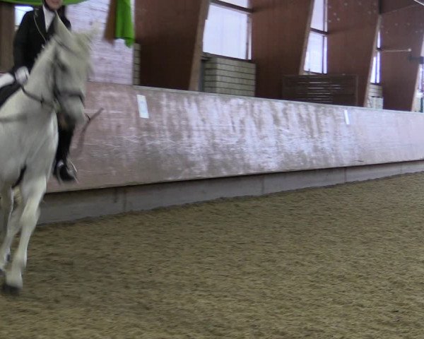 Reitturnier Hellefeld 2019