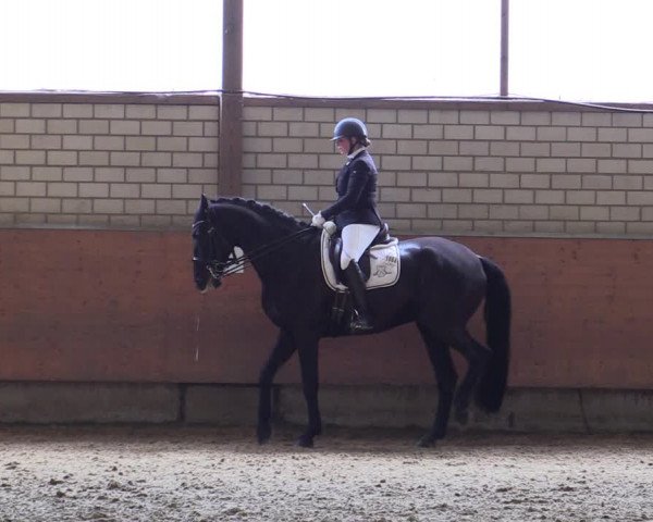 Reitturnier Hellefeld 2019