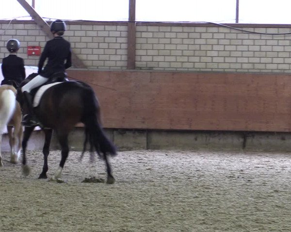 Reitturnier Hellefeld 2019
