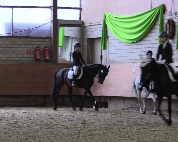 Reitturnier Hellefeld 2019