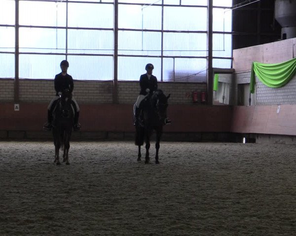 Reitturnier Hellefeld 2019