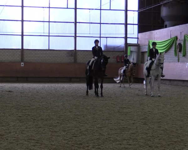 Reitturnier Hellefeld 2019