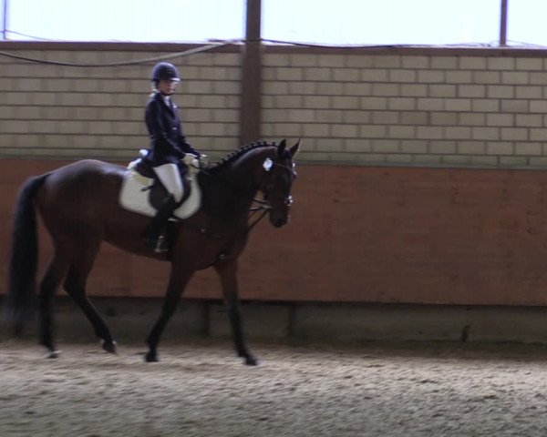 Reitturnier Hellefeld 2019