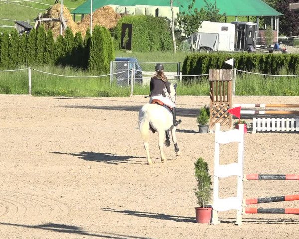 Reitturnier Fehraltorf 2019