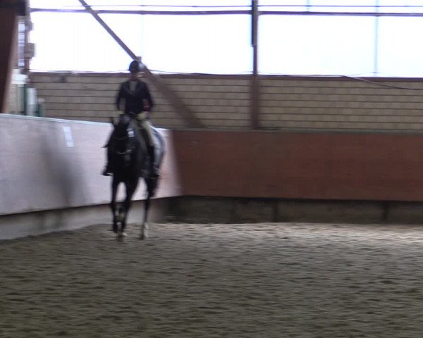 Reitturnier Hellefeld 2019