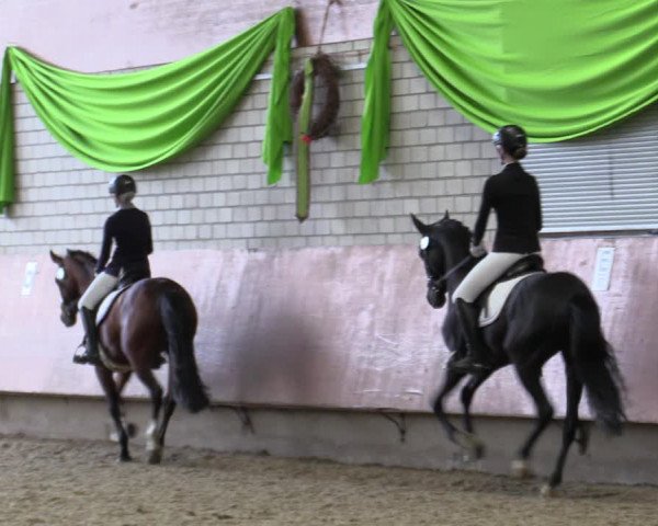 Reitturnier Hellefeld 2019