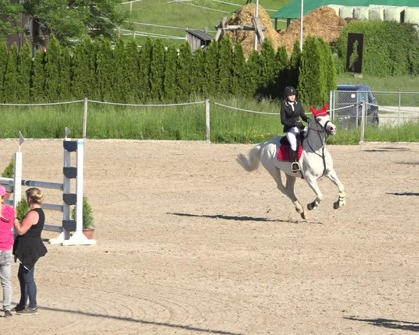 Reitturnier Fehraltorf 2019