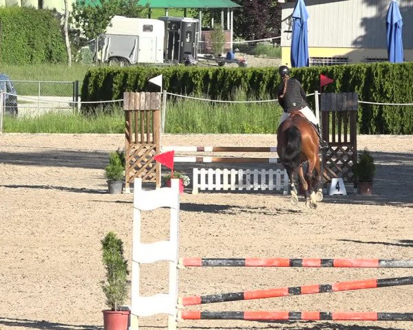 Reitturnier Fehraltorf 2019