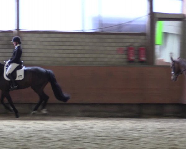 Reitturnier Hellefeld 2019