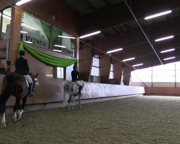 Reitturnier Hellefeld 2019